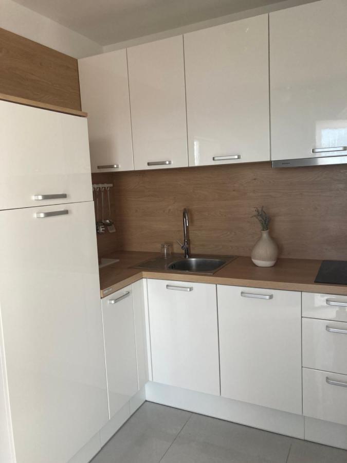 Apartman Hmelina ヴーシ エクステリア 写真